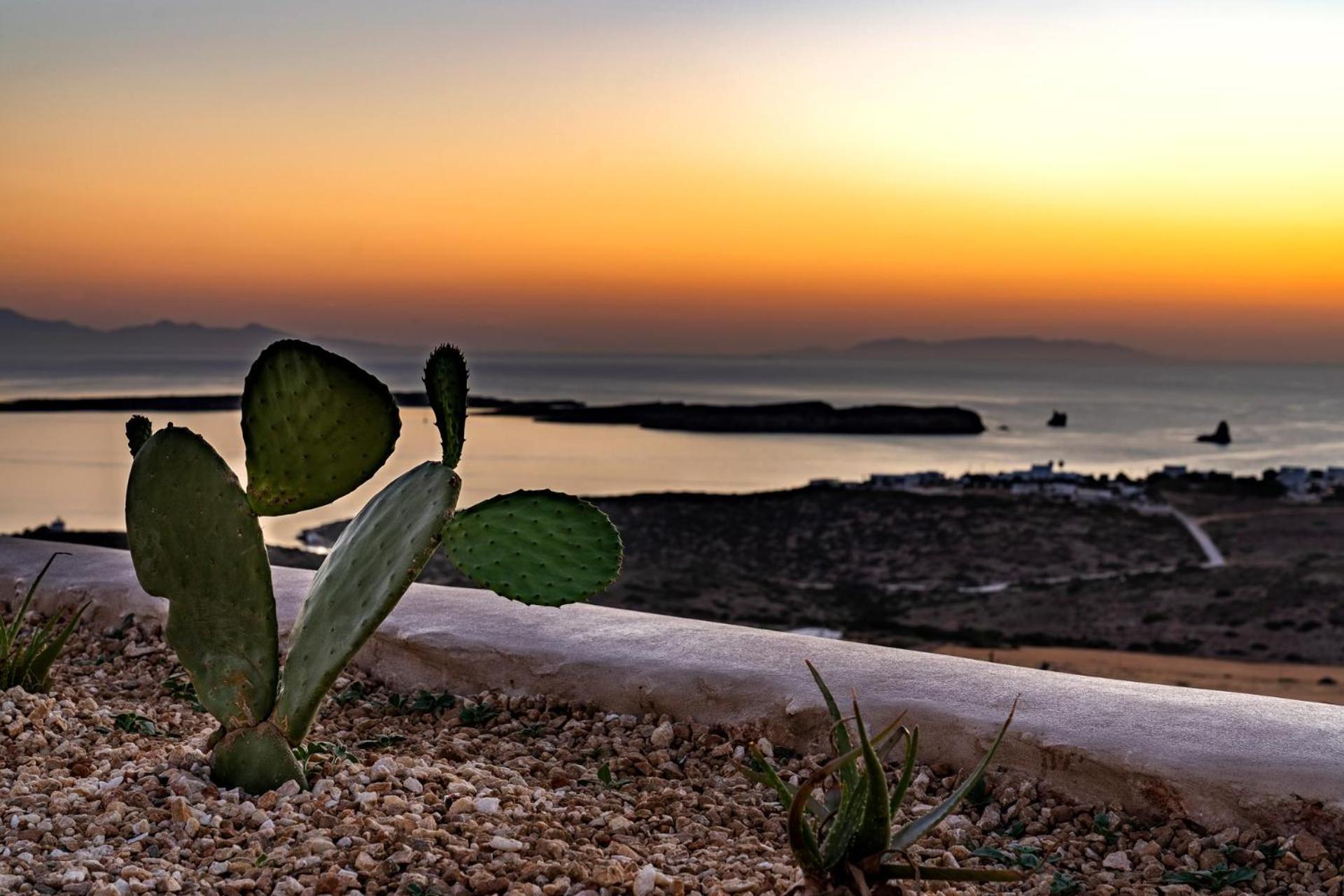 Mythic Paros , Adults Only Hotel Agia Irini  Værelse billede